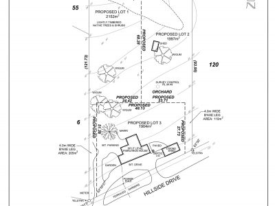 Shire Subdivision Application